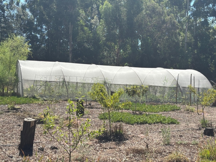 3 Bedroom Property for Sale in Twee Riviere Eastern Cape